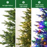 The Holiday Aisle?? Mini Christmas Tree With Color LED Lights, Remote